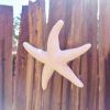 Starfish Wall Art (Photo 3 of 15)