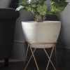 Ivory Plant Stands (Photo 1 of 15)