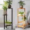 Three-Tiered Plant Stands (Photo 11 of 15)
