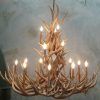 Antlers Chandeliers (Photo 4 of 15)