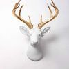 Stag Head Wall Art (Photo 10 of 15)