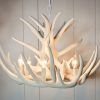 Stag Horn Chandelier (Photo 11 of 15)
