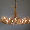 Stag Horn Chandelier (Photo 4 of 15)