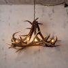 Stag Horn Chandelier (Photo 1 of 15)