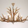 Stag Horn Chandelier (Photo 2 of 15)