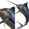 Stainless Steel Fish Wall Art (Photo 8 of 15)