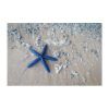 Starfish Wall Art (Photo 15 of 15)