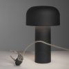 Matte Black Standing Lamps (Photo 12 of 15)