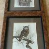 The Owl Framed Art Prints (Photo 8 of 15)