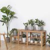 Indoor Plant Stands (Photo 8 of 15)