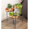 Three-Tier Plant Stands (Photo 9 of 15)