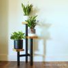 Three-Tiered Plant Stands (Photo 8 of 15)
