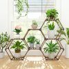 Hexagon Plant Stands (Photo 1 of 15)