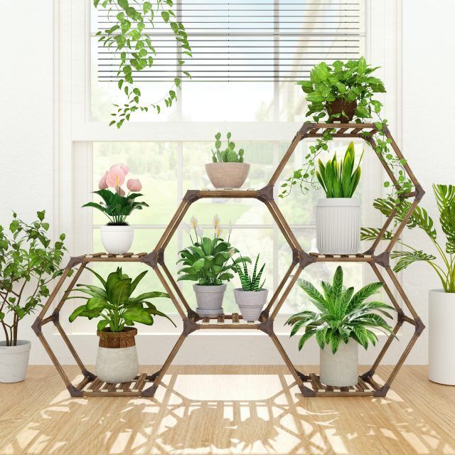 The Best Hexagon Plant Stands