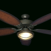 Brown Outdoor Ceiling Fan With Light (Photo 11 of 15)