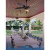 Traditional Outdoor Ceiling Fans (Photo 5 of 15)