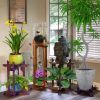 Fishbowl Plant Stands (Photo 5 of 15)
