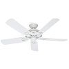 Hunter Indoor Outdoor Ceiling Fans With Lights (Photo 4 of 15)