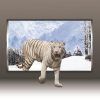Animals 3D Wall Art (Photo 12 of 15)