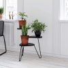 Black Marble Plant Stands (Photo 3 of 15)