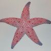 Starfish Wall Art (Photo 5 of 15)