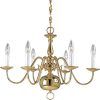 Traditional Brass Chandeliers (Photo 8 of 15)