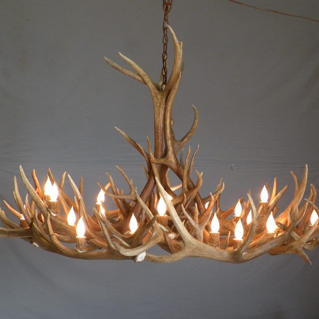 15 Collection of Unusual Chandeliers