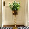 Brass Plant Stands (Photo 7 of 15)