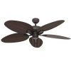 Outdoor Ceiling Fan With Light Under $100 (Photo 15 of 15)