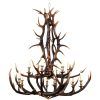 Stag Horn Chandelier (Photo 12 of 15)