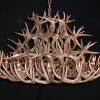 Antlers Chandeliers (Photo 8 of 15)