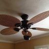 Hampton Bay Outdoor Ceiling Fans With Lights (Photo 6 of 15)