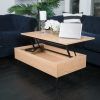 Lift Top Coffee Tables With Storage (Photo 15 of 15)