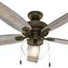 Hunter Indoor Outdoor Ceiling Fans With Lights (Photo 15 of 15)