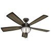 Hunter Indoor Outdoor Ceiling Fans With Lights (Photo 5 of 15)
