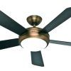 Outdoor Ceiling Fans With Light Globes (Photo 4 of 15)