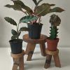 Resin Plant Stands (Photo 8 of 15)