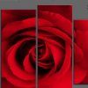 Red Rose Wall Art (Photo 8 of 15)