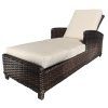 Wicker Outdoor Chaise Lounges (Photo 15 of 15)
