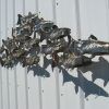 Stainless Steel Fish Wall Art (Photo 11 of 15)