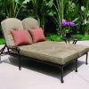Patio Double Chaise Lounges (Photo 14 of 15)