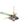 Hunter Outdoor Ceiling Fans With Lights And Remote (Photo 9 of 15)