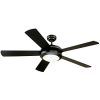 Outdoor Ceiling Fan With Light Under $100 (Photo 8 of 15)