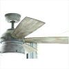 Wet Rated Outdoor Ceiling Fans With Light (Photo 14 of 15)