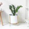 White Plant Stands (Photo 2 of 15)