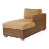 Wicker Chaise Lounges (Photo 11 of 15)