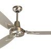 Stainless Steel Outdoor Ceiling Fans (Photo 14 of 15)