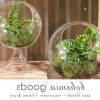 Globe Plant Stands (Photo 1 of 15)