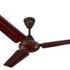 Outdoor Ceiling Fan With Brake (Photo 14 of 15)