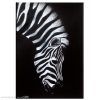 Zebra Canvas Wall Art (Photo 14 of 15)
